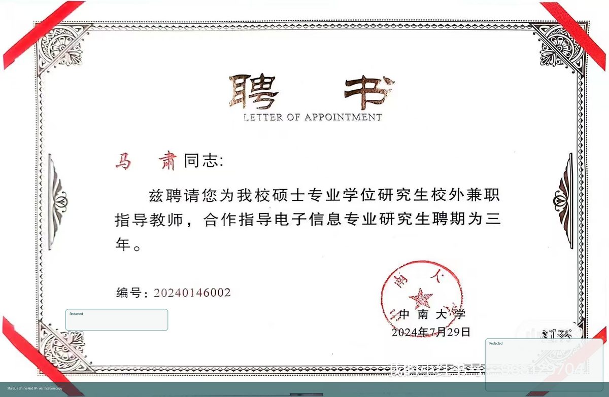 External Graduate Mentor at Central South University